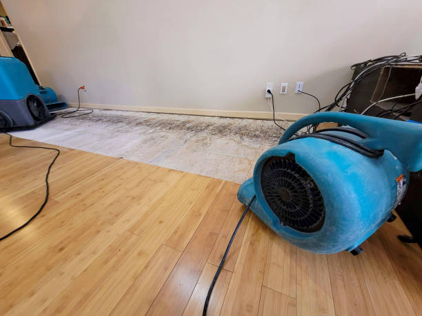 Professional Water Damage Repair technician working in Onyx, CA